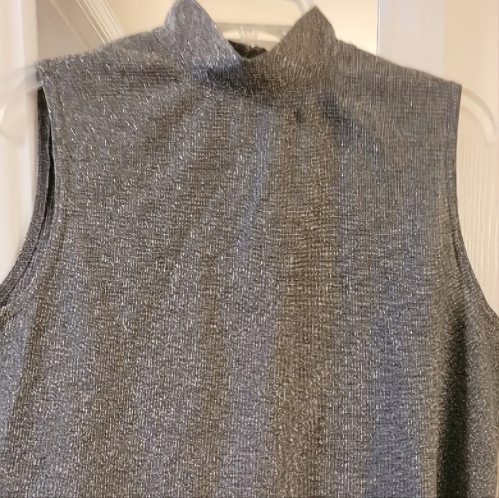 Grey Metallic Shell. Cape Cod. Size L